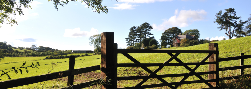 Rural Health Transformation Program